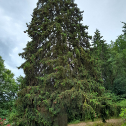 Parc et jardin