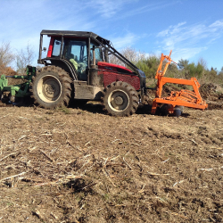 preparation des lignes avant plantation